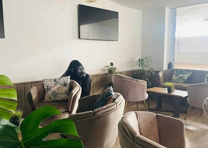 Nocleg ze śniadaniem Equus Bredene